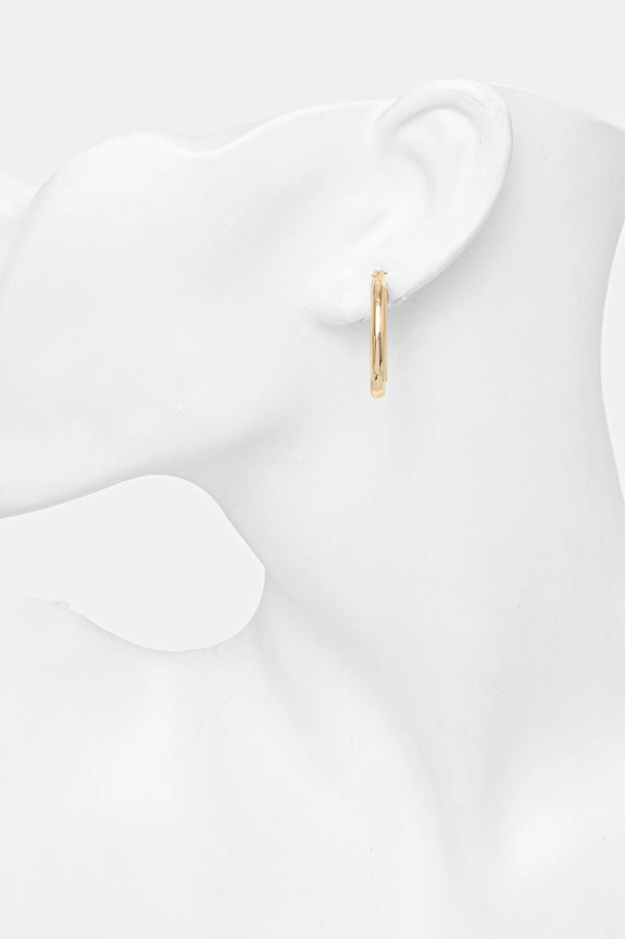Accesorii Dkny cercei 04G00696 aur