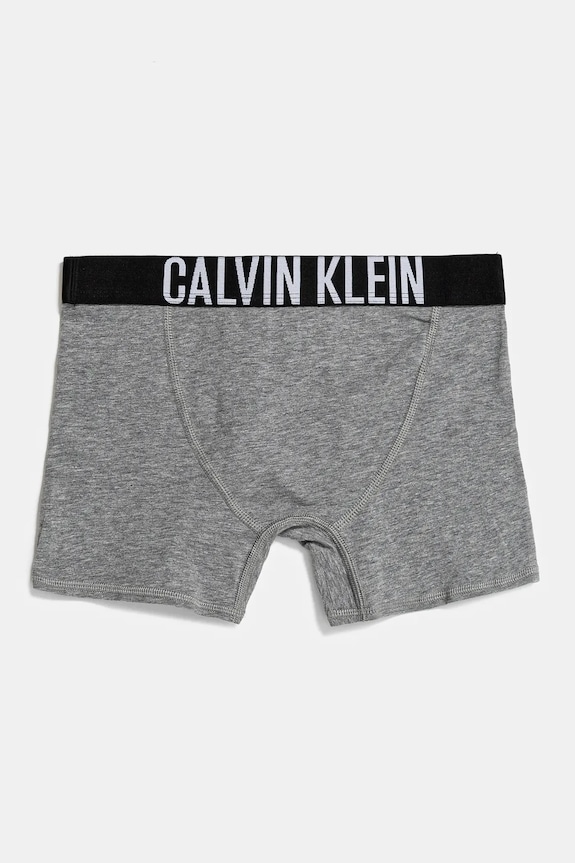 Chlapec Detské boxerky Calvin Klein Underwear 2-pak B70B700512.PPYA čierna