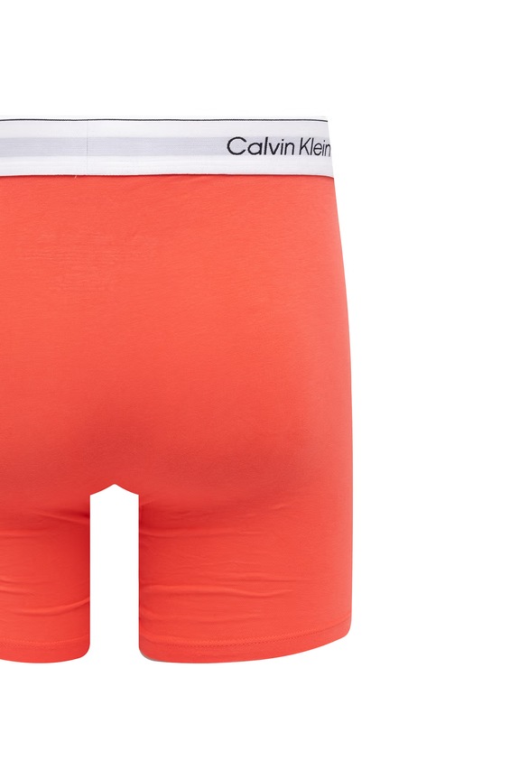 Calvin Klein Underwear boxeri bărbați cu bumbac pachet de 3 LV00NB4394
