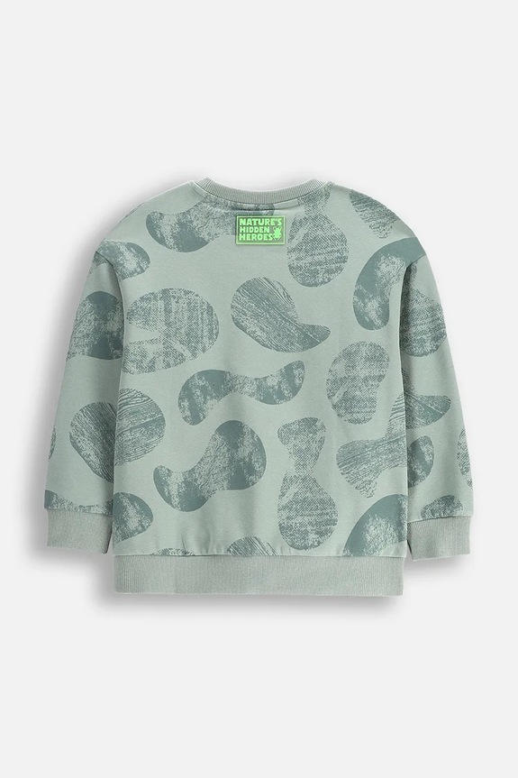 Chłopiec Coccodrillo bluza dziecięca WC5132101SBK zielony