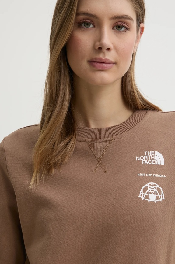 The North Face felpa in cotone Outdoor Graphic marrone NF0A8C246IH1