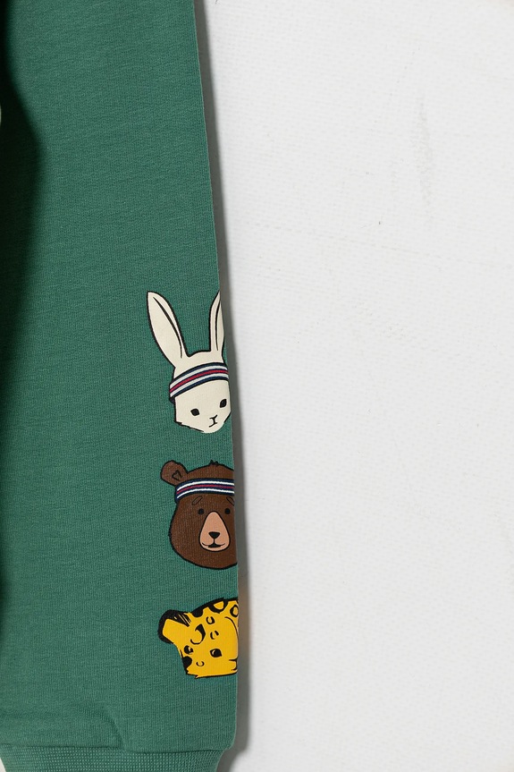 Dječaci Dječja dukserica Fila LUBSKO FAK0393 zelena