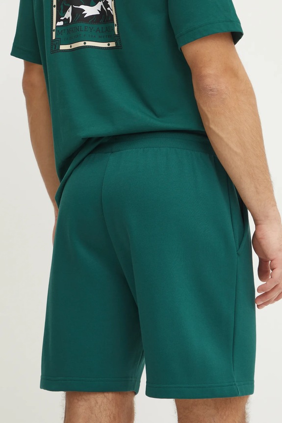 Odzież The North Face szorty Nuptse Regular NF0A8C1JA1B1 zielony