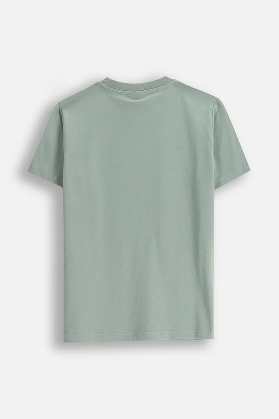 Coccodrillo t-shirt bawełniany dziecięcy WC5143216VBB zielony SS25