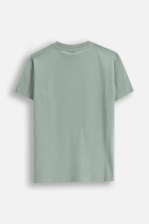 Coccodrillo t-shirt bawełniany dziecięcy WC5143216VBB zielony SS25