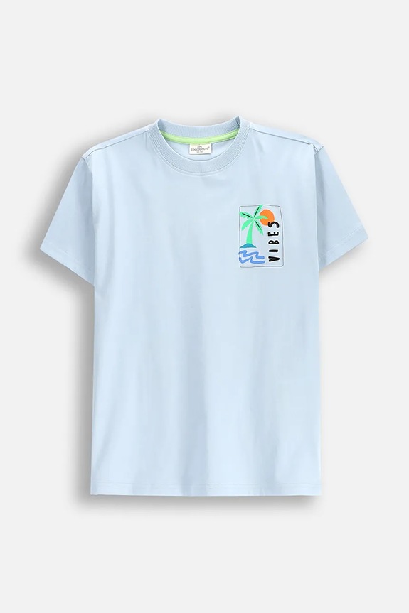 Coccodrillo t-shirt bawełniany dziecięcy nadruk niebieski WC5143216VBD