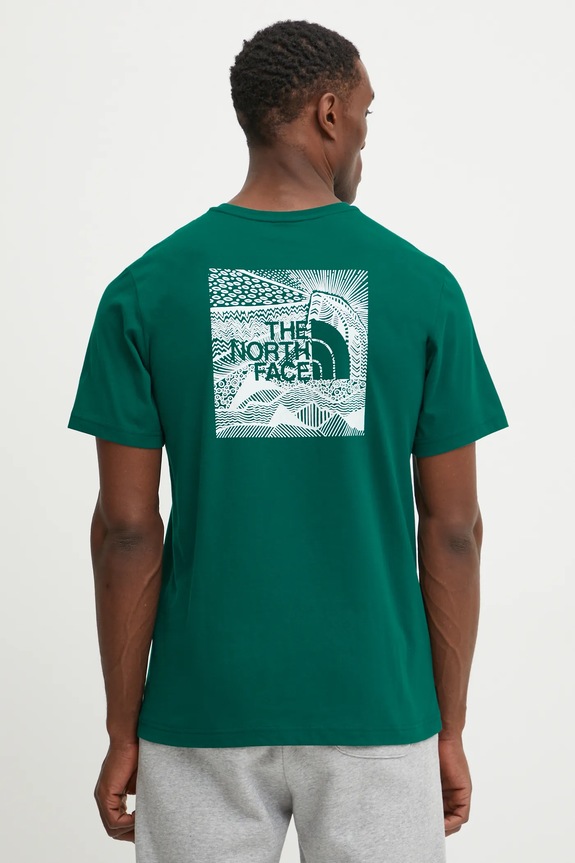 Abbigliamento The North Face t-shirt in cotone Redbox Celebration NF0A87NV6GI1 verde