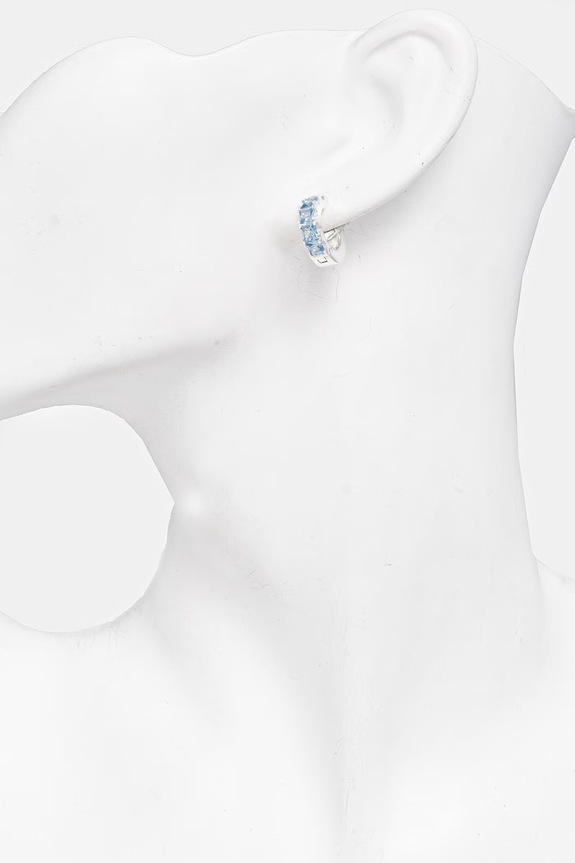 HATTON LABS FACET HOOP EARRINGS cercei argint HL.W4.642.08.O/S argintiu