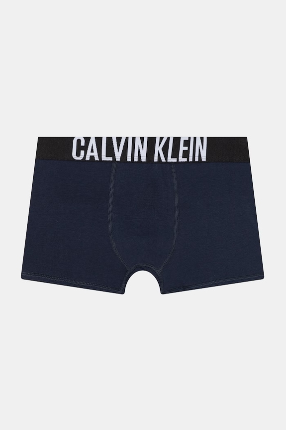 Αγορίστικα Calvin Klein Underwear μποξεράκι παιδικό βαμβάκι με ελαστάν 2-pack B70B700509.PPY2 σκούρο μπλε