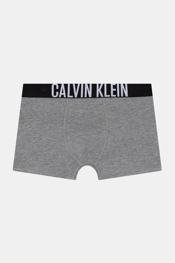 Calvin Klein Underwear μποξεράκι Παιδικό βαμβακερό με ελαστάν 2-pack B70B700509.PPY2 γκρί SS26