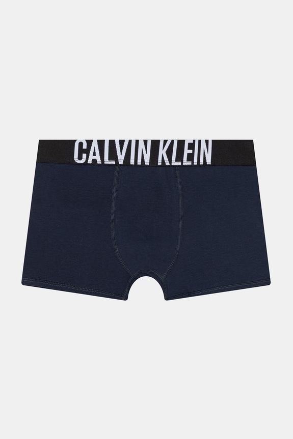 Αγορίστικα Calvin Klein Underwear μποξεράκι Παιδικό βαμβακερό με ελαστάν 2-pack B70B700509.PPY2 γκρί