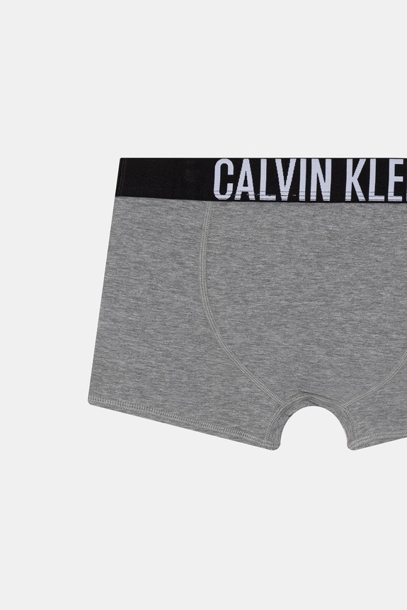 Calvin Klein Underwear μποξεράκι Παιδικό βαμβακερό με ελαστάν 2-pack γκρί B70B700509.PPY2