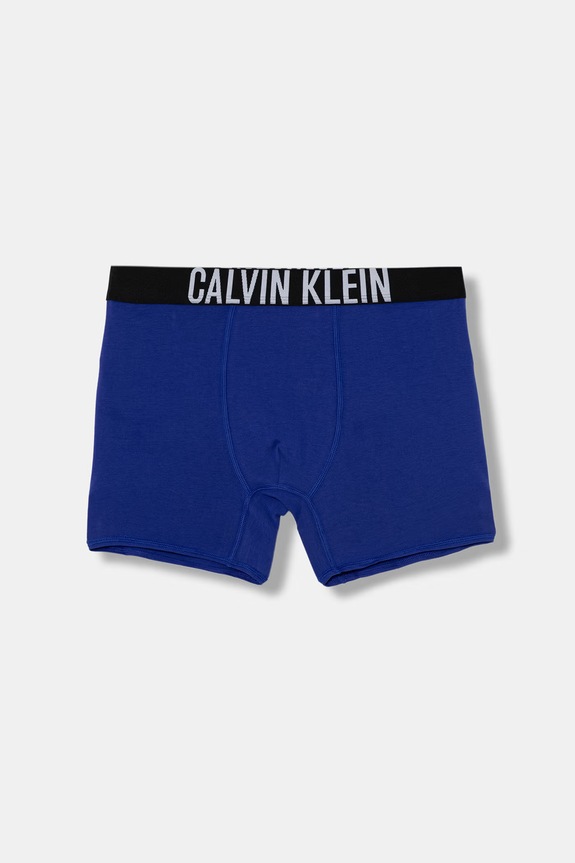 Αγορίστικα Calvin Klein Underwear μποξεράκι Παιδικό από βαμβάκι με ελαστάν 2-pack B70B700512.PPY2 σκούρο μπλε