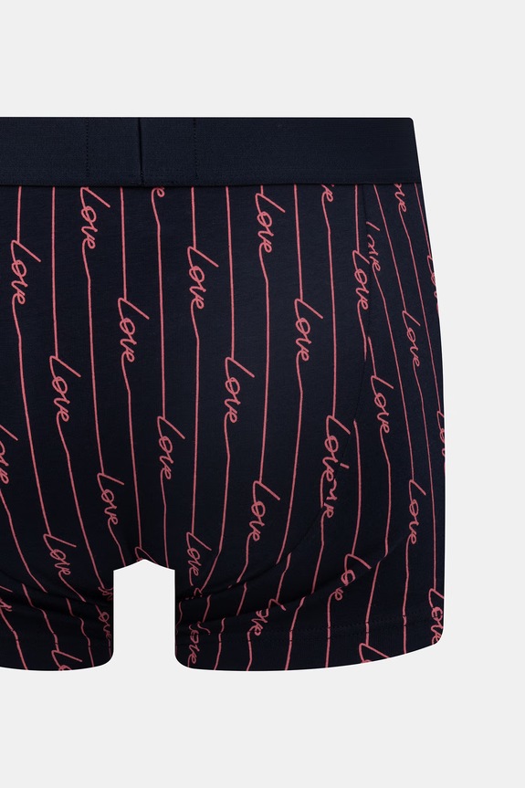 Боксеры Emporio Armani Underwear 2 шт EM001014.AF19049 тёмно-синий