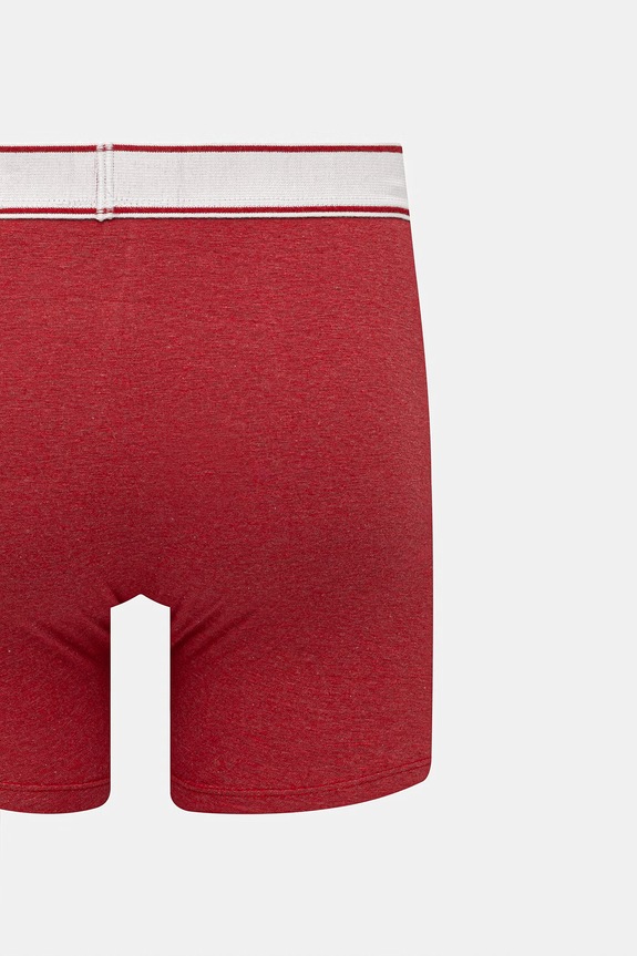 Levi's boxeri pentru bărbați, cu bumbac pachet de 2 rosu 37149.1255