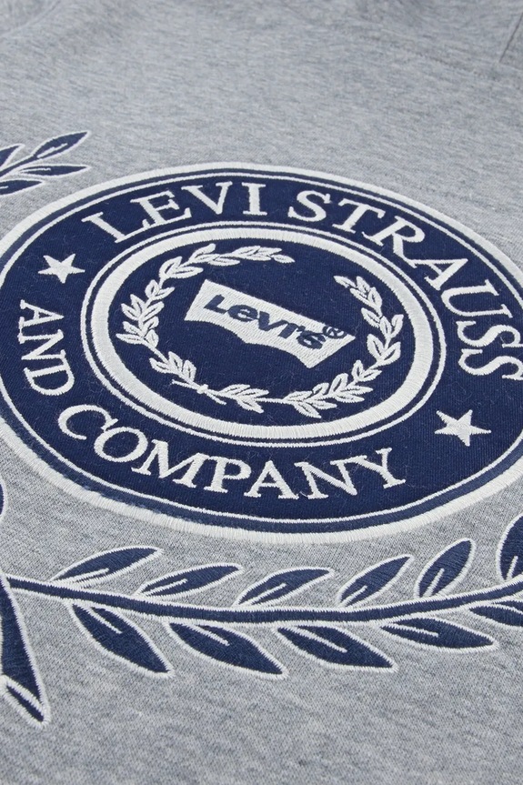 Levi's bluză copii MODERN CREST HOODIE gri 9EP587