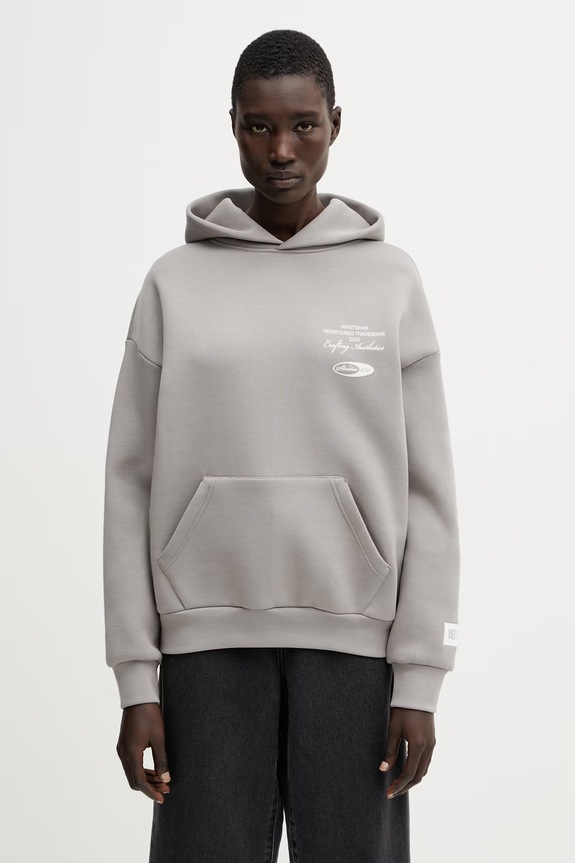 Odzież WRSTBHVR Studio V13 bluza z kapturem damska U2026TT.3439 szary