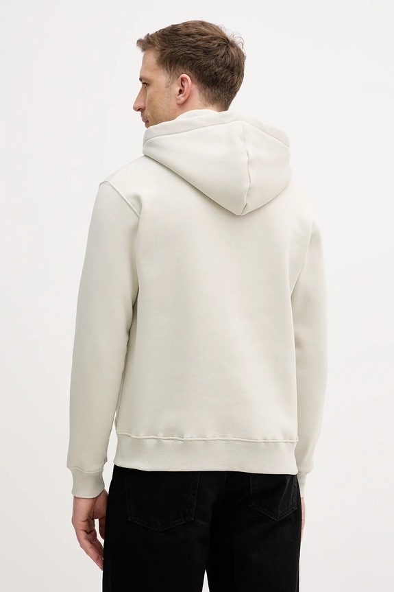 Oblačila Pulover Alpha Industries Basic Hoodie BL Effect Print 178312EP bež