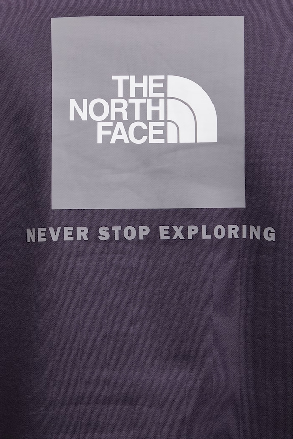 The North Face bluza Raglan Redbox NF0A89F9G5O1