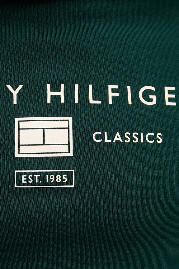 Tommy Hilfiger mikina s kapucňou pánska bavlnená MW0MW42464 zelená