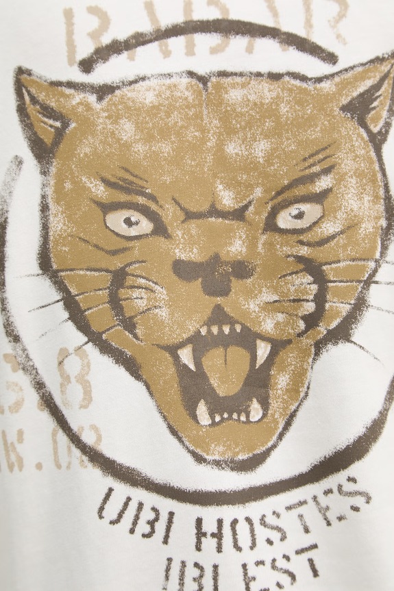 Βαμβακερή μπλούζα με μακριά μανίκια Aeronautica Militare FE2099UJ00725 μπεζ