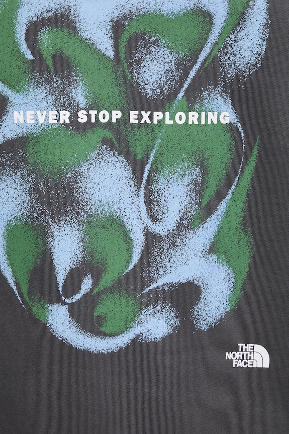 The North Face bluza z kapturem męska bawełniana 1966 MOTION NF0A8GAJRHI1 szary