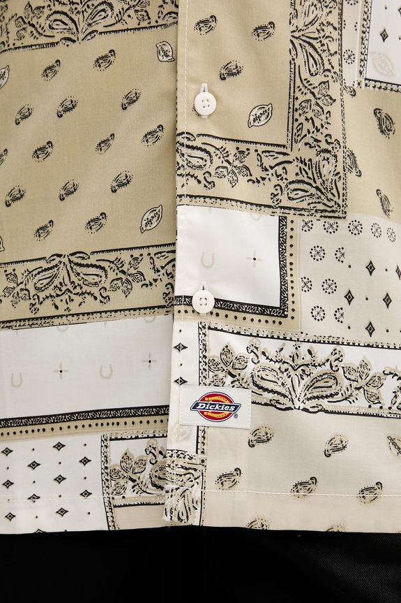 Dickies πουκάμισο ανδρικό με lyocell DK0A889TC481 μπεζ