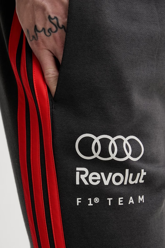 adidas donji dio trenirke za muškarce x Audi KE6783 siva