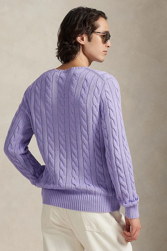 Polo Ralph Lauren cotton jumper 5/1 ROVING COTTON 710775885531 violet SS26