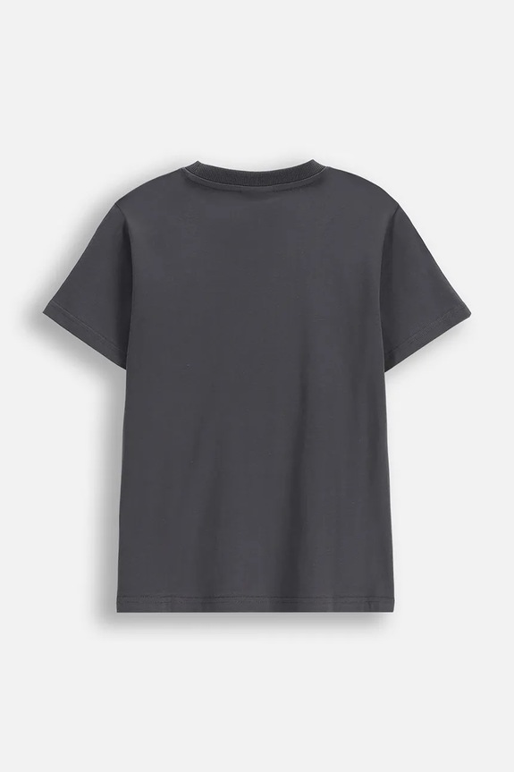 Coccodrillo t-shirt bawełniany dziecięcy WC6143210VBA szary SS26