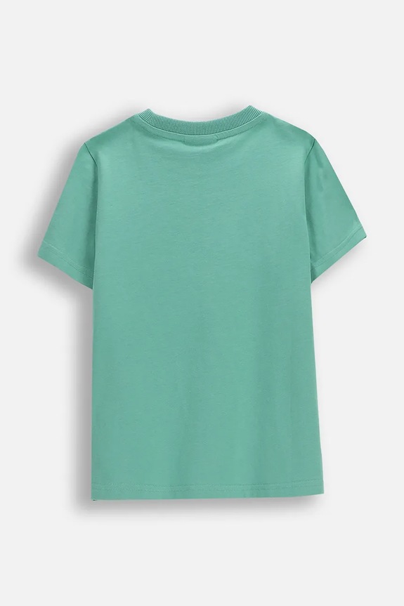 Coccodrillo t-shirt bawełniany dziecięcy WC6143235VBA zielony SS26