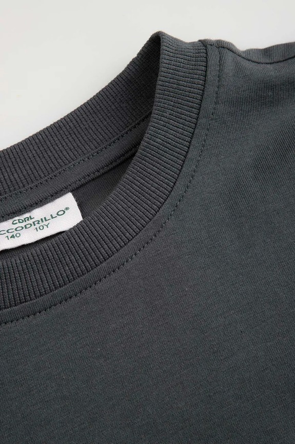 CHLAPEC Dětské bavlněné tričko Coccodrillo WC6143202RBJ šedá