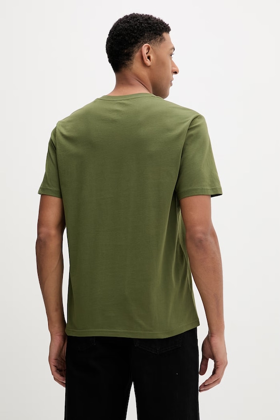 Oblečenie Bavlnené tričko Dickies DK0A4XDBK721 zelená
