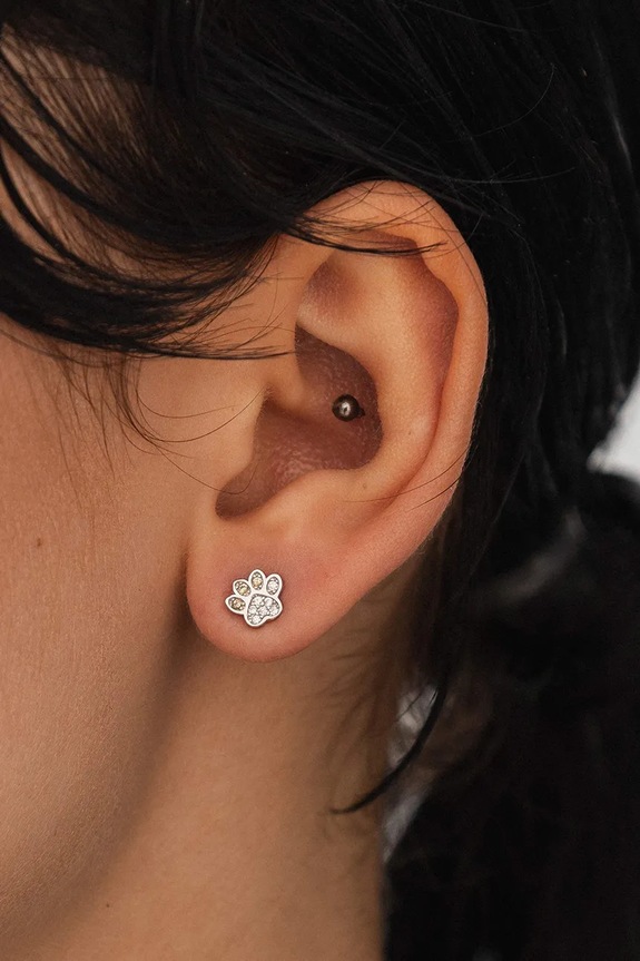 Accessori ANIA KRUK orecchini in argento MINI SMVKC2292 argento