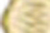 złoty
