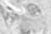 srebrny