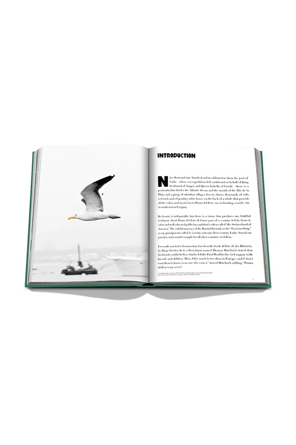 Книга Assouline Punta Del Este by Bony Bullrich, English фото 4