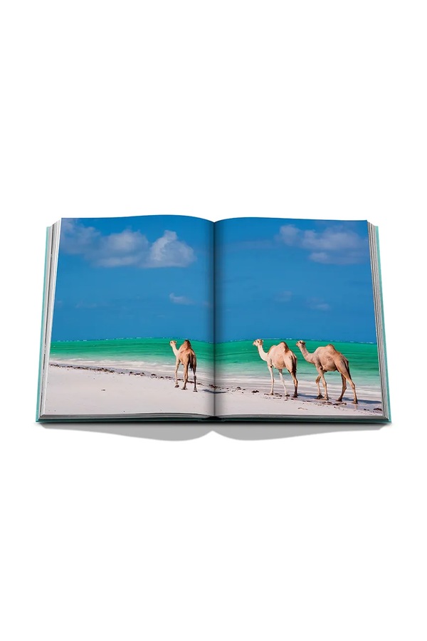 Книга Assouline Saudi Arabia: Red Sea, the Saudi Coast by Christopher Smit, English колір бірюзовий фото 4