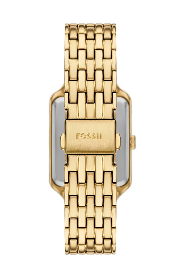 RAQUEL Fossil