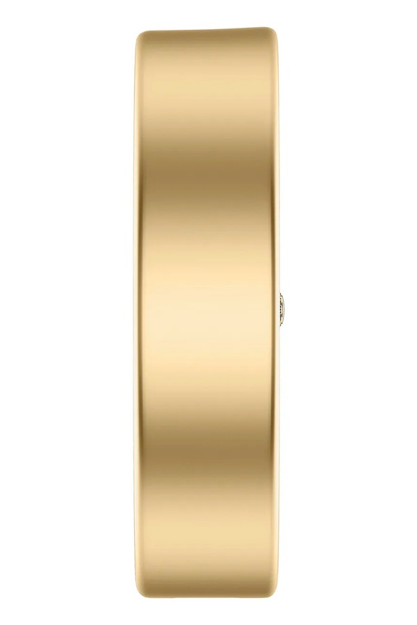 Годинник жіночий Emporio Armani Eagle Story фото 2