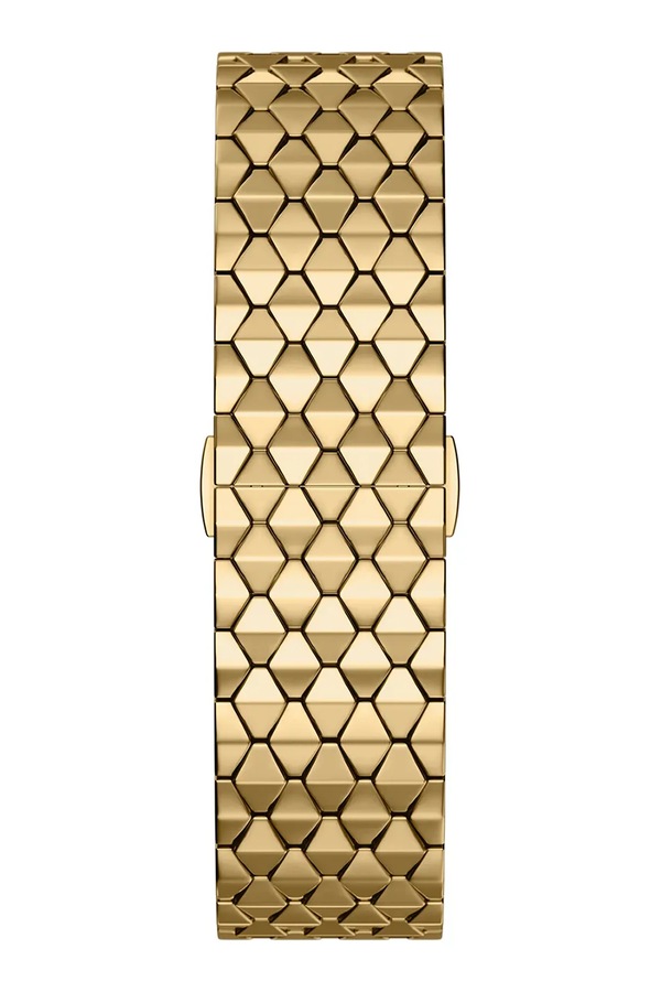 Годинник жіночий Emporio Armani Eagle Story фото 2