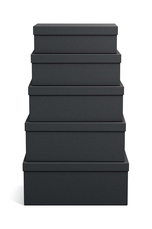 Набір ящиків для зберігання Bigso Box of Sweden Joel 5-pack фото 2