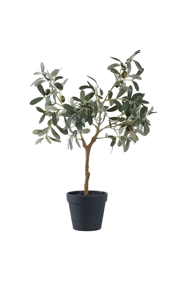 Штучна рослина в горщику House Nordic Olive Tree колір зелений