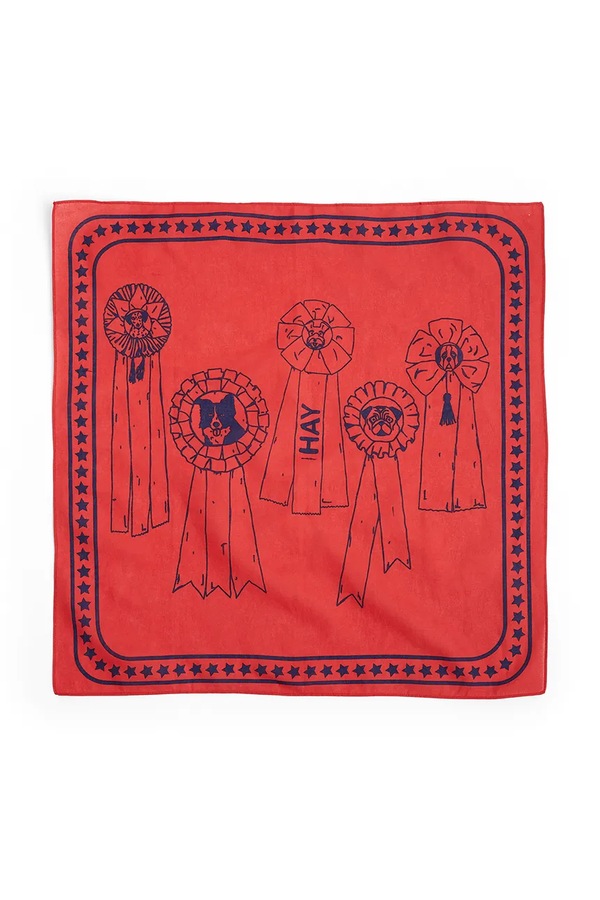 Платок для собаки HAY 55 x 55 cm цвет красный