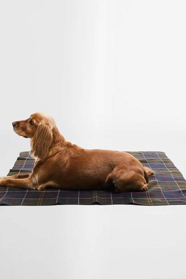 Одеяло для домашнего питомца Barbour Tartan Blanket 100 x 120 cm
