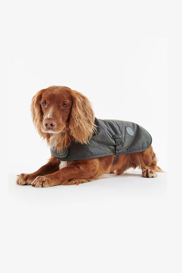Плащ для собаки Barbour фото 3