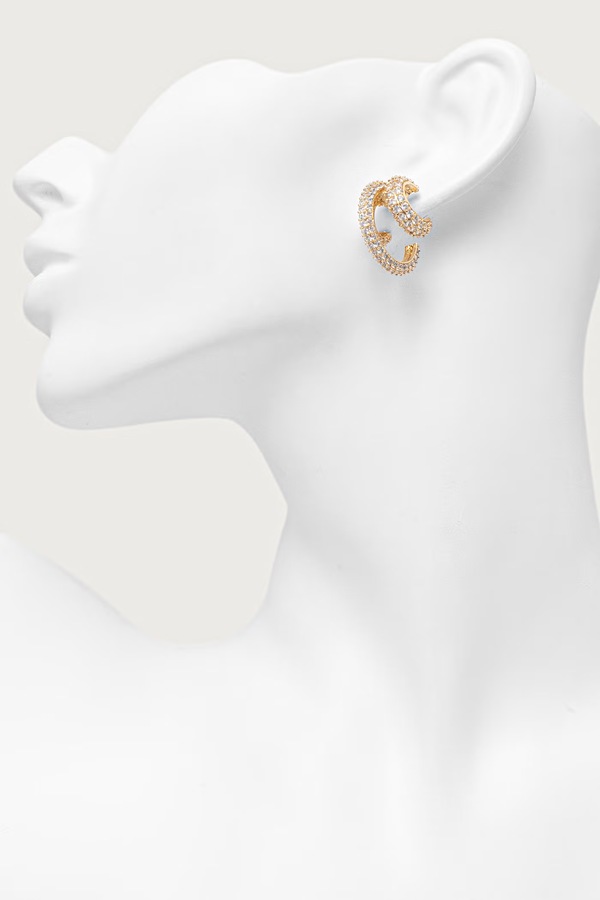 Сережки жіночі Aldo GLITZYS фото 3