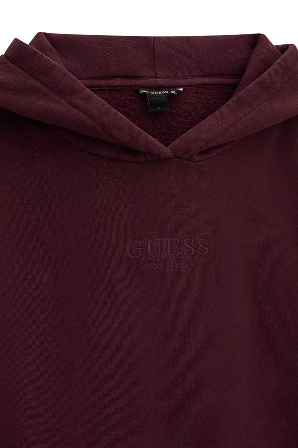 Кофта з капюшоном дитяча бавовняна Guess фото 2