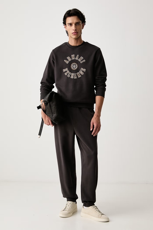 Кофта мужская хлопковая Armani Exchange цвет серый