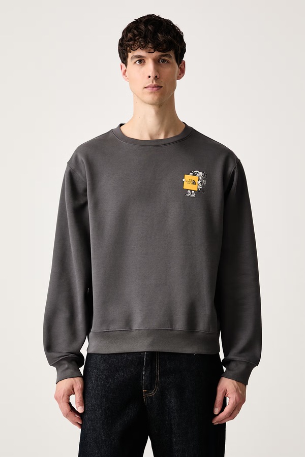 Кофта чоловіча з бавовною The North Face Gear up Relaxed колір сірий фото 3